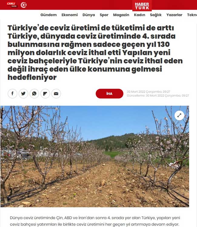 Türkiye'de Ceviz Üretimi De Tüketimi De Artti-180