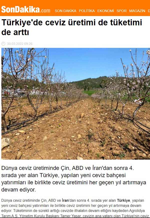 Türkiye'de Ceviz Üretimi De Tüketimi De Artti