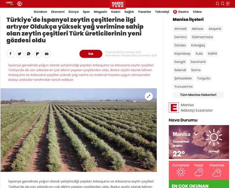 Türkiye’de İspanyol zeytin çeşitlerine ilgi artıyor