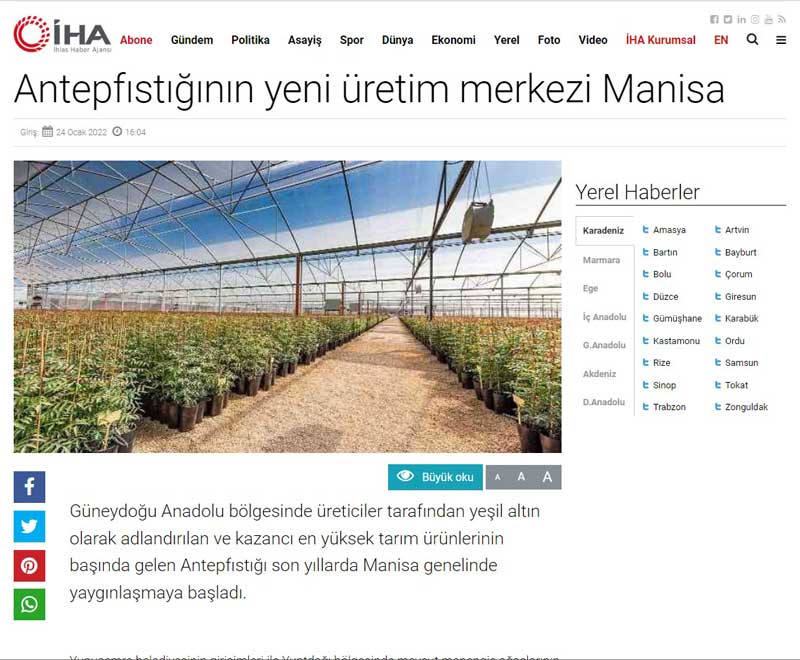 Antepfıstığının yeni üretim merkezi Manisa-152